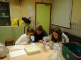 classes-vertes-03.jpg