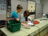 classes-vertes-04.jpg